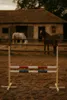 Ostacolo di salto per cavallo Hobby 120cm, due travi - Anteprima dell’immagine prodotto 7