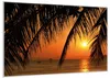 Wallario Wandbild Sonnenuntergang unter Palmenblättern, Produktbild-Vorschau 2