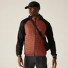 Veste softshell hybride Regatta Andreson pour homme, taille Voir les images du produit 2