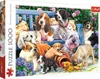 Puzzle 1000 Teile Hunde im Garten Produktbild-Vorschau 1