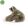 Bradipo di peluche ECO-FRIENDLY 30 cm (8590687220836) Anteprima dell’immagine prodotto 3
