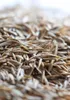 Trockenrasen Rasetta 10 kg / 400 m² Produktbild-Vorschau 2