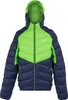 Regatta - "Dalent" Isolier-Jacke mit Kapuze für Herren Produktbild-Vorschau 1
