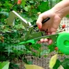 Pflanzenbinder Gartentacker mit Band und Klammern Tapener Produktbild-Vorschau 8