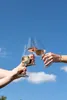 Schott Zwiesel MioVino Wein- & Sektgläser Set 12-teilig Produktbild-Vorschau 3