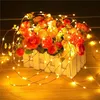 Weihnachtsbaum Draht Lichter 100 Led Batteriebetriebene Produktbild-Vorschau 15