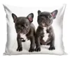 PHU CARBOTEX Bulldog und Bulldog Baumwollbettwäsche Produktbild-Vorschau 3