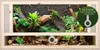 Repiterra® Terrarium Frontbelüftung Holzterrarium OSB Holz Produktbild-Vorschau 2