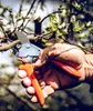 Záhradné nožnice orig.Löwe 1.104 celková d.210mm rezná Náhľad obrázku produktu 10