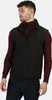 Regatta Professional Herren Klassik Softshell Bodywarmer Produktbild-Vorschau 2