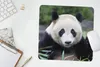 MuchoWow® Mauspad Mousepad Großer Panda - Gras - Steine Produktbild-Vorschau 5