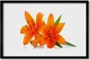 Bild 60x40 MDF-Rahmen Wandkunst Orange Pflanze Blumen Produktbild-Vorschau 1