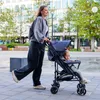 LIONELO Elia Buggy malý skládací kočárek do 15 kg Nastavení Náhled obrázku produktu 3