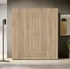 Schlafkontor Base Kleiderschrank Holzwerkstoff Dekorfolie 4 Produktbild-Vorschau 6