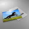 Bilder auf glas - Schwarzes Pferd Pferd Galopp - 100x70cm - Produktbild-Vorschau 2
