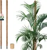 KOTARBAU® 2er Set Moosstab für Monstera ⌀ 3,2x150cm Produktbild-Vorschau 1