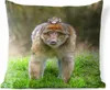MuchoWow® Outdoor Kissen - Tier - Affe - Baby - 60x60 cm - Produktbild-Vorschau 1