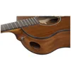 IBANEZ AAM54-OPN Advanced Auditorium Produktbild-Vorschau 4