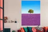 MuchoWow® Poster Baum - Lila - Himmel - Lavendel 120x160 cm Produktbild-Vorschau 2