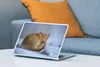 MuchoWow® Laptop Aufkleber Sticker Cover Amerika - Fuchs - Produktbild-Vorschau 4