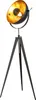 GLOBO 40150145X, Metal, IP20, II, E27, 40 W, 230 V Podgląd zdjęcia produktu 1