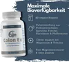 Colon Ex mit Flohsamenschalen und Magnesium von EXVital, 90 Produktbild-Vorschau 7