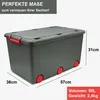 3 Aufbewahrungsboxen mit Deckel und Rollen 50L - Produktbild-Vorschau 2