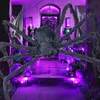 A large, fuzzy spider decoration with red eyes is placed on a porch decorated for Halloween with purple lighting, cobwebs, and pumpkins. Produktbild-Vorschau