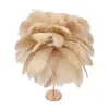 A feather table lamp on a white background. Voir les images du produit