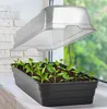 A black plastic seedling tray filled with young plants sits on a white windowsill, with a clear plastic dome cover propped open above it. The background shows a brick wall and greenery outside a window. Produktbild-Vorschau