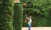 Black & Decker PH5551 Elektro-Heckenschere Produktbild-Vorschau 7