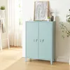 A light blue metal cabinet with two doors is shown in a room with a ladder and plants. Náhled obrázku produktu