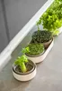 Plastia Urbalive Hydrokultur-Schale Regrow, Elfenbein Produktbild-Vorschau 16
