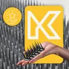 A hand holding a bird spike product in front of a background with a logo and a star icon. Náhľad obrázku produktu
