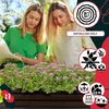 KOTARBAU® 3 Pezzi Fioriera da Balcone Vaso da Esterno con Anteprima dell’immagine prodotto 8
