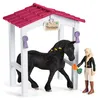 Horse Club Pferdebox mit Tori & Princess Produktbild-Vorschau 5