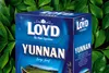 Loyd Yunnan Herbata Czarna Liściasta Chińska Głęboki Smak i Podgląd zdjęcia produktu 12