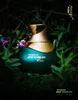 Al Haramain Détour Eco Eau de Parfum unisex 100 ml Produktbild-Vorschau 9