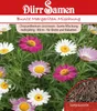 Margerite bunte Mischung | Margeritensamen von Dürr Samen Produktbild-Vorschau 1
