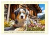 Australian Shepherd. Wanderfreude auf Pfoten im Bergsommer Produktbild-Vorschau 13