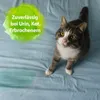 Waschmittel Bactador® Wäschespühlungs Geruchsentferner 1 L Produktbild-Vorschau 2