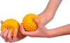 Sensy-Ball Igelball Massageball Reflexzonen Massage Produktbild-Vorschau 2