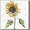 Coloray Hodiny Unikátní 30x30 cm  Tiché hodiny Pro obývací Produktbild-Vorschau 1