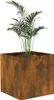 A potted plant in a square, weathered metal planter. Anteprima dell’immagine prodotto