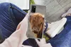 MuchoWow® Handyhülle Schutzhülle Hülle für Samsung Galaxy Produktbild-Vorschau 3