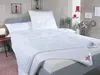 Schlaf-Gut Utah Duo-Steppbett Winterdecke Größe 135x200 cm Produktbild-Vorschau 12
