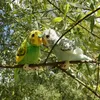 Perruche en peluche à plumes ondulées avec son, 13 cm, Voir les images du produit 4