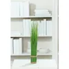 Grasbüschel - - Größe 45 cm Produktbild-Vorschau 3