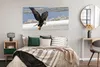 MuchoWow® Poster Weißkopfseeadler - Weißgesicht - Fliegen - Produktbild-Vorschau 4