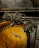 Mini Ratte mit Kunstfell als tierische Halloween Deko Produktbild-Vorschau 3